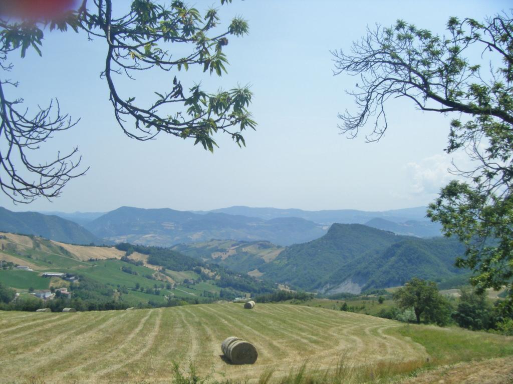 Villa La Piana Dei Castagni Castel dʼAiano Exterior foto