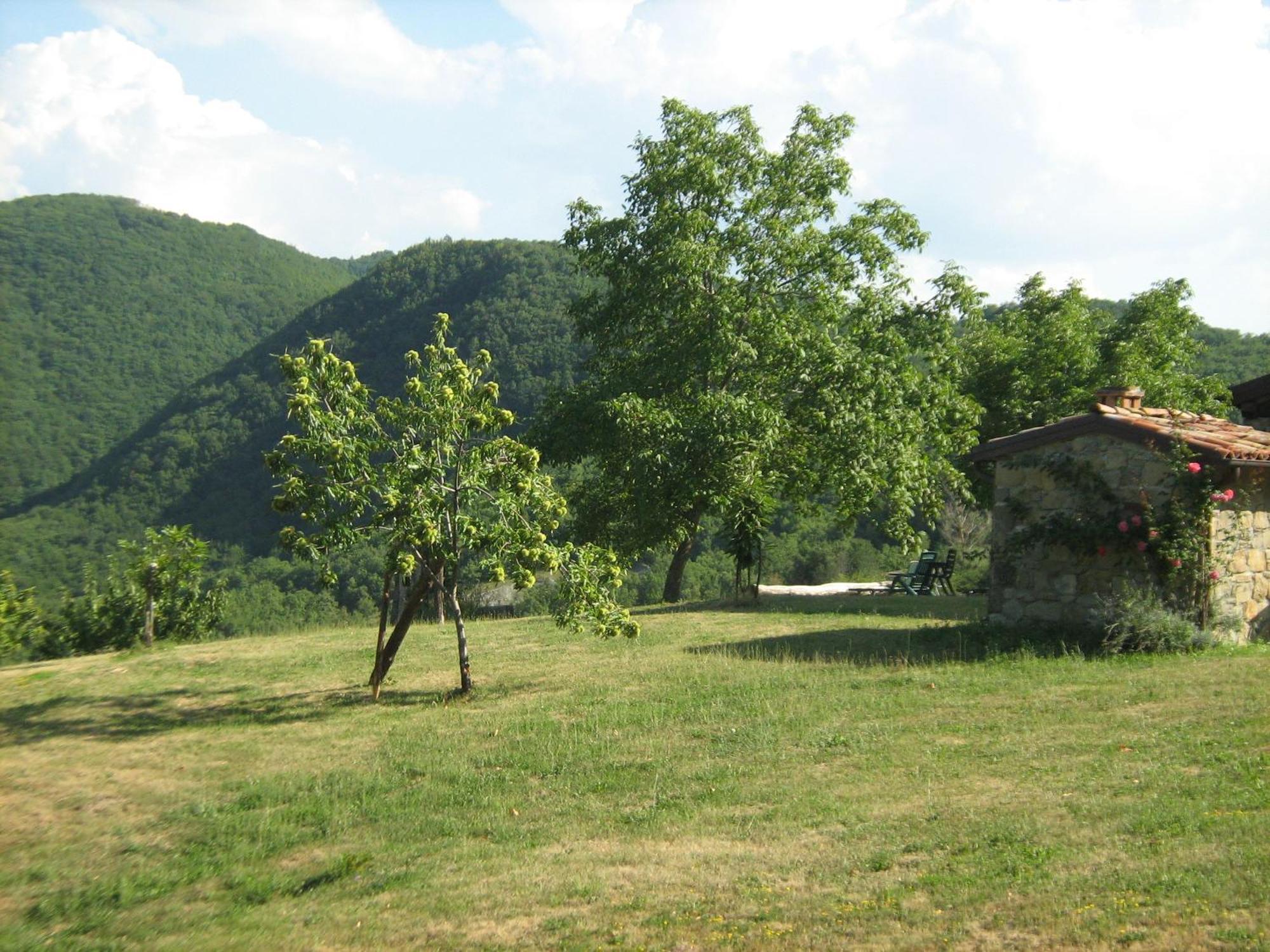 Villa La Piana Dei Castagni Castel dʼAiano Exterior foto