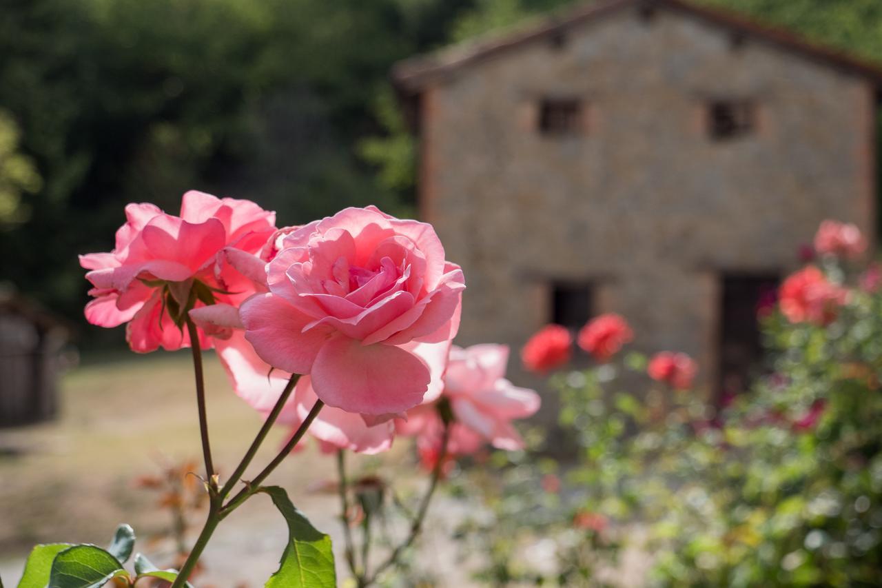 Villa La Piana Dei Castagni Castel dʼAiano Exterior foto